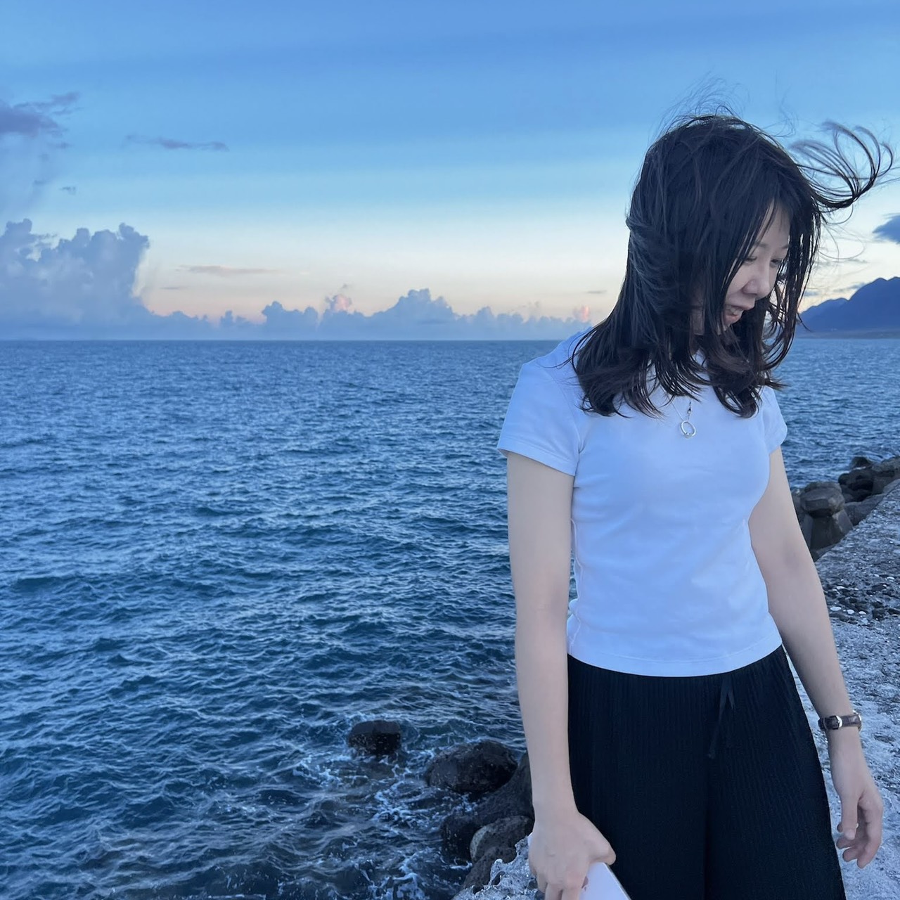 專案管理 陳忻渝